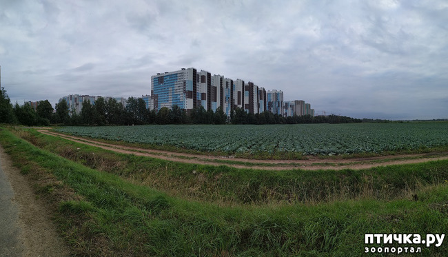 ���� 2: ������������. � ������� �� ������!