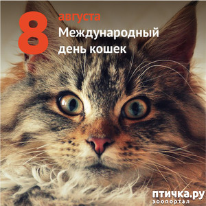 ����: ����� ��, ������� ����� ��� �� ������ ������ ������