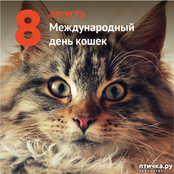 ���� 1: ����� ��, ������� ����� ��� �� ������ ������ ������