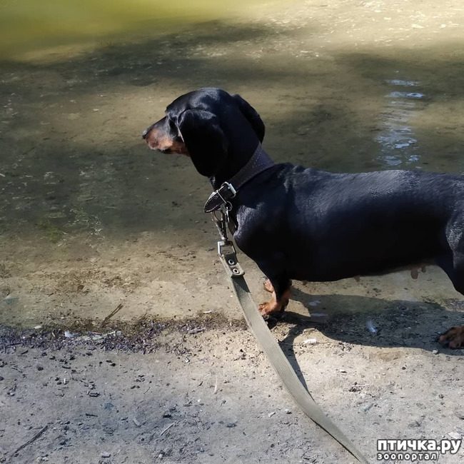 ���� 15: ������������ �������� � ��������. �� ���� ������ ������.