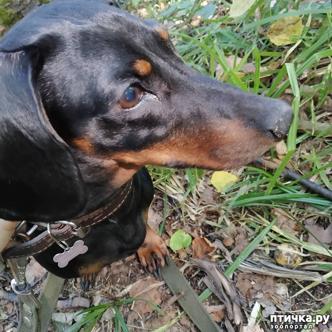 ���� 14: ������������ �������� � ��������. �� ���� ������ ������.