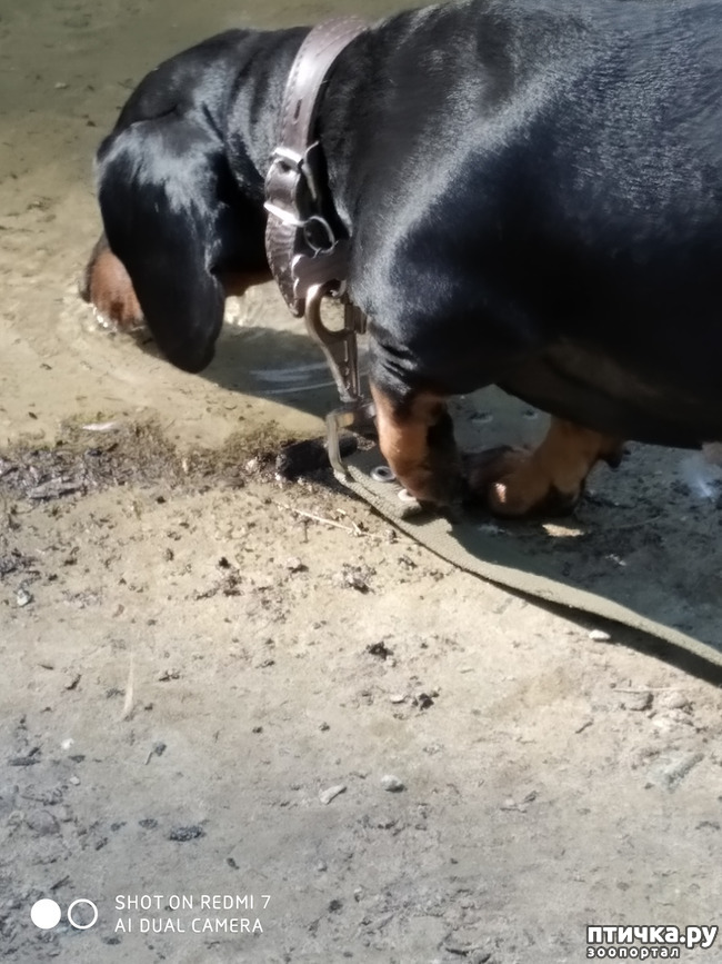 ���� 16: ������������ �������� � ��������. �� ���� ������ ������.