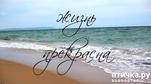 ����: �� ��� �� ������ �����