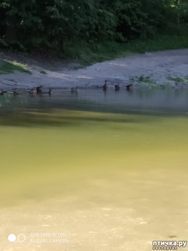 ���� 17: ������������ �������� � ��������. �� ���� ������ ������.