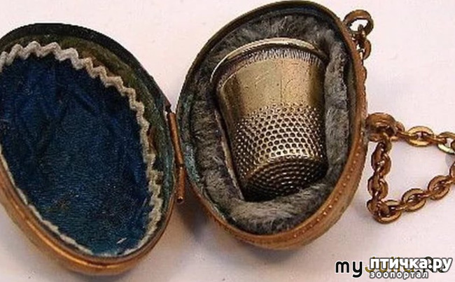 ���� 1: �������� �����