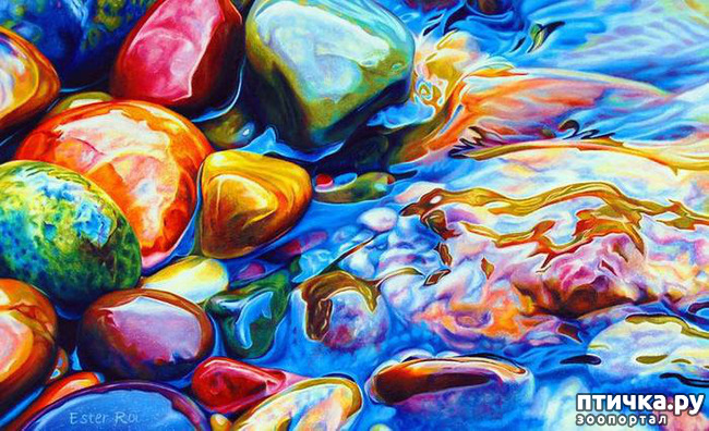 ���� 1: ���� �����. ������.