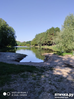 ����: ������������ �������� � ��������. �� ���� ������ ������.