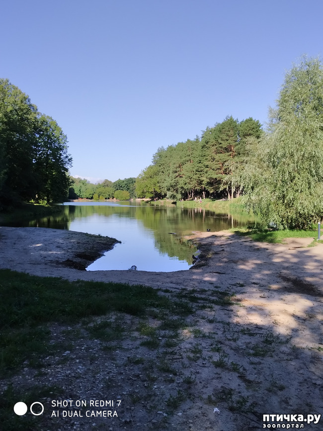 ���� 1: ������������ �������� � ��������. �� ���� ������ ������.