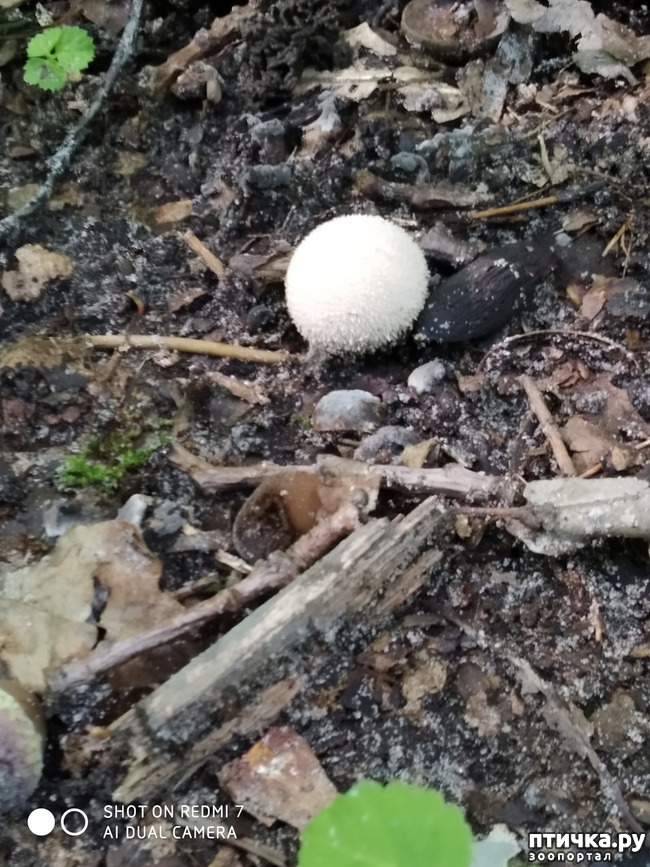 ���� 3: ������������ �������� � ��������. �� ���� ������ ������.