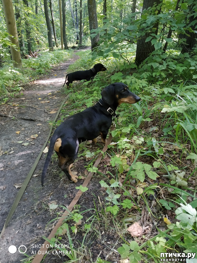 ���� 2: ������������ �������� � ��������. �� ���� ������ ������.