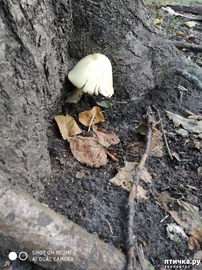 ���� 6: ������������ �������� � ��������. �� ���� ������ ������.