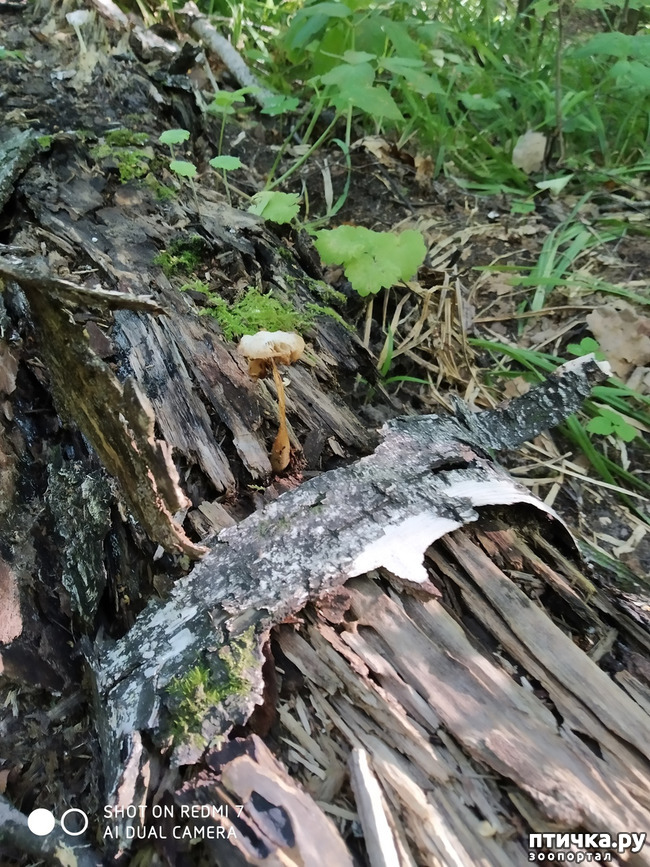 ���� 8: ������������ �������� � ��������. �� ���� ������ ������.