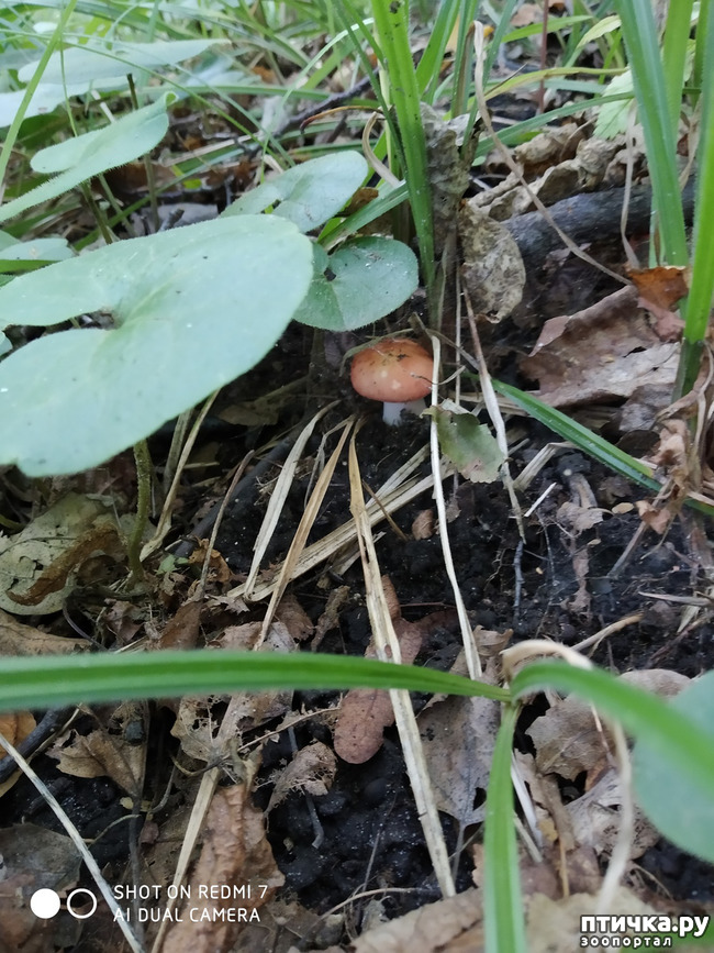 ���� 9: ������������ �������� � ��������. �� ���� ������ ������.