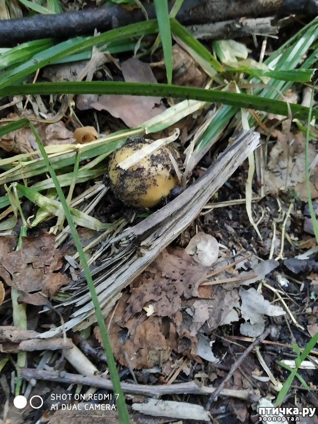 ���� 10: ������������ �������� � ��������. �� ���� ������ ������.