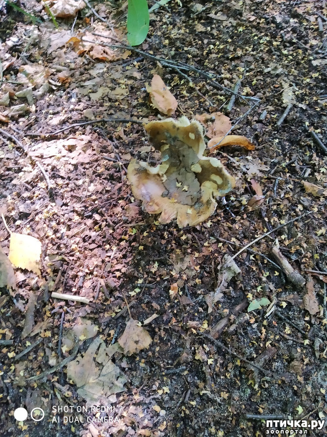 ���� 11: ������������ �������� � ��������. �� ���� ������ ������.