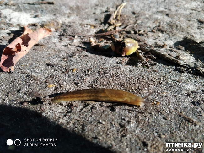 ���� 12: ������������ �������� � ��������. �� ���� ������ ������.