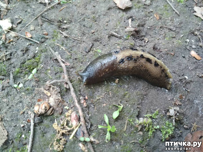 ���� 13: ������������ �������� � ��������. �� ���� ������ ������.