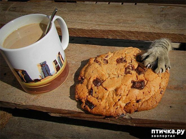 ���� 6: ����������� �� �������������