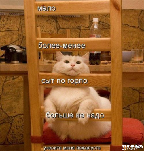 ���� 8: ����������� �� �������������