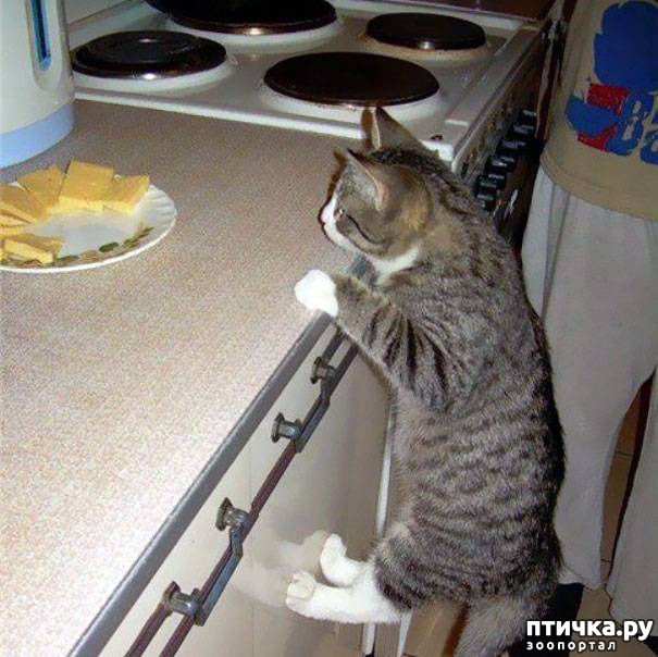 ���� 10: ����������� �� �������������