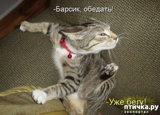 ���� 14: ����������� �� �������������