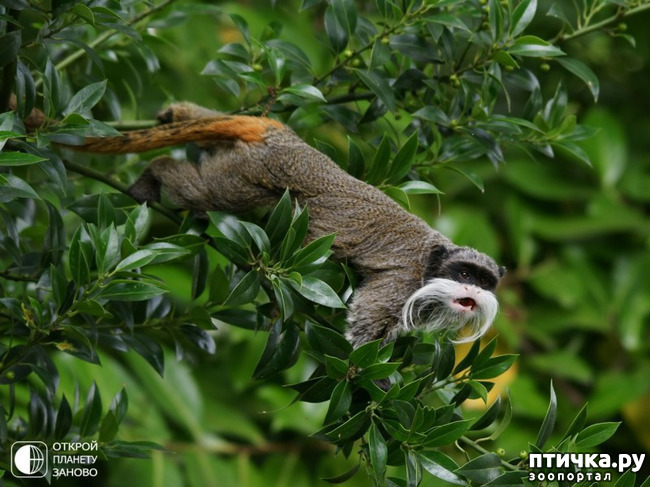 ���� 5: ������������� �������