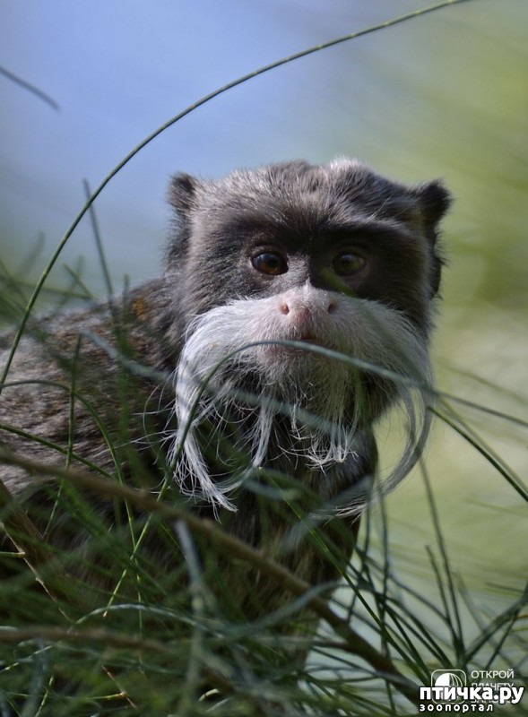 ���� 6: ������������� �������