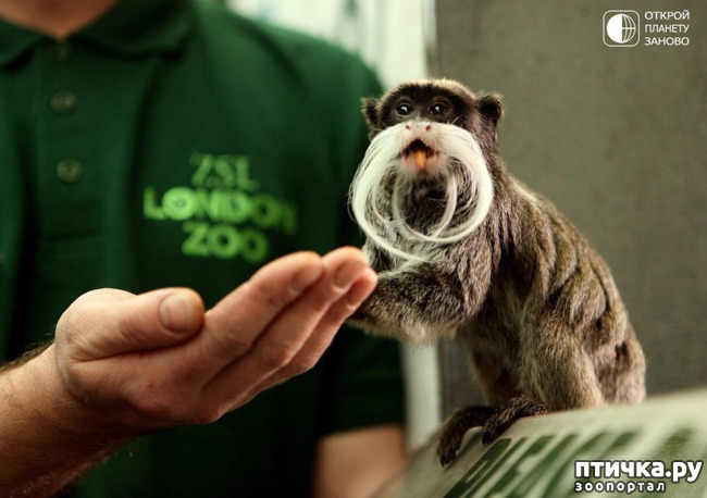 ���� 7: ������������� �������