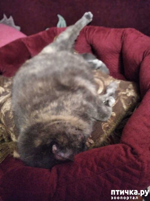 ����: ������ ��������!!!