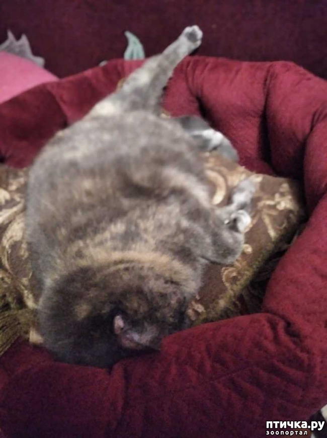 ���� 1: ������ ��������!!!