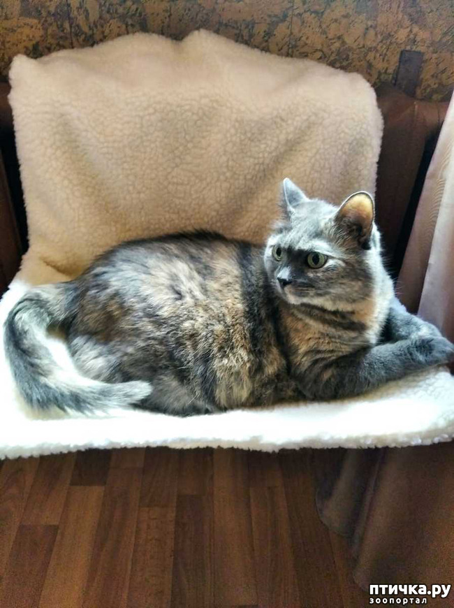 ���� 4: ������ ��������!!!