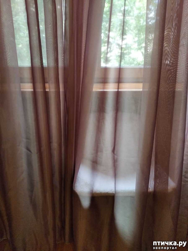 ���� 5: ������ ��������!!!