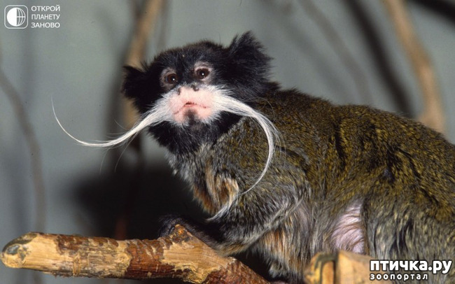 ���� 2: ������������� �������