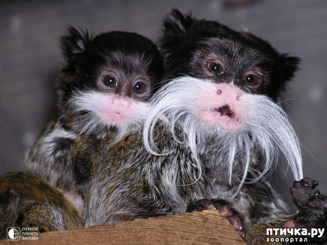 ���� 1: ������������� �������