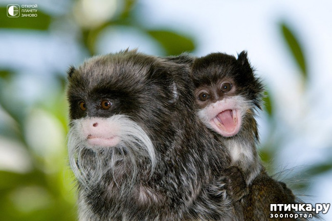 ���� 3: ������������� �������