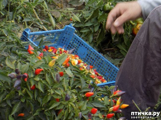 ���� 10: ����������