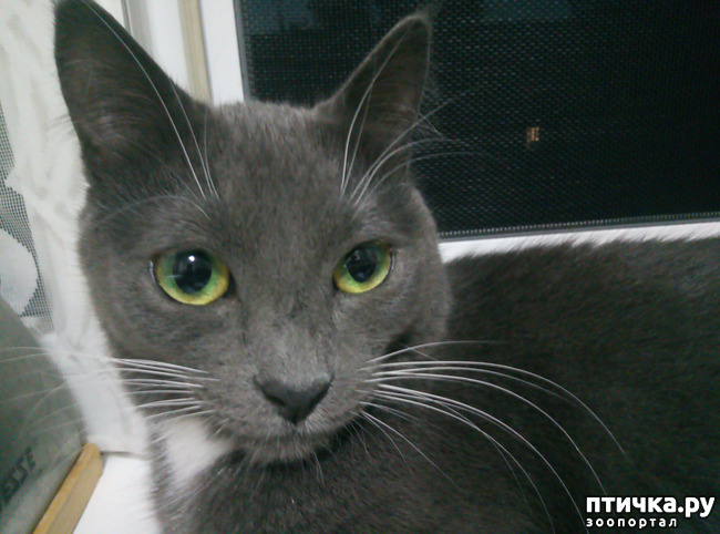 ���� 1: ������� ���