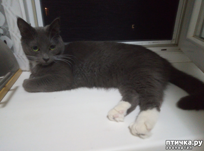 ���� 4: ������� ���