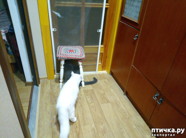 ���� 5: ������� ���