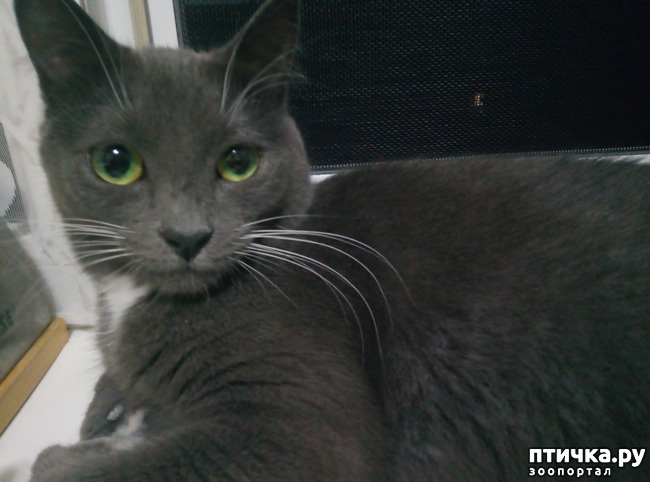 ���� 6: ������� ���