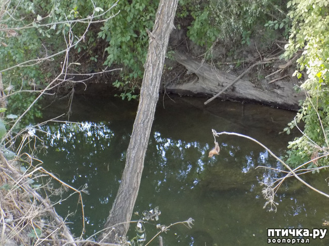 ���� 3: ����������