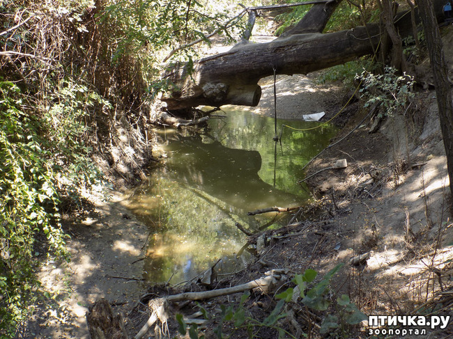 ���� 4: ����������