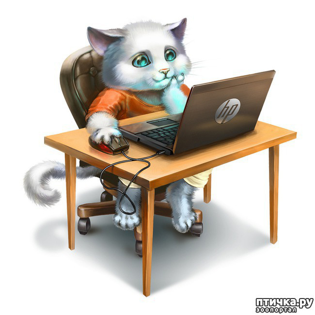 ���� 1: ������������ ����� - ��� ��������� ��������� ��������� �����