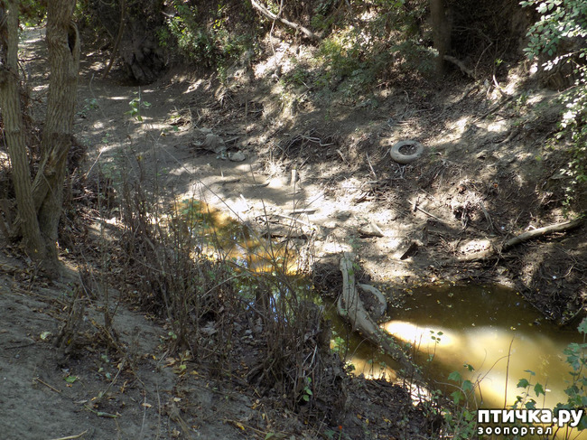 ���� 5: ����������