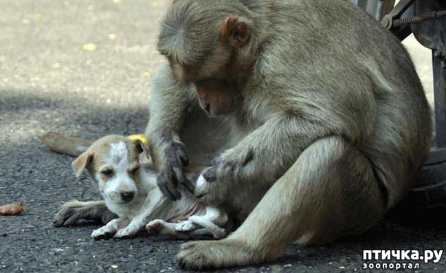 ���� 4: ������������ ����� - ��� ��������� ��������� ��������� �����