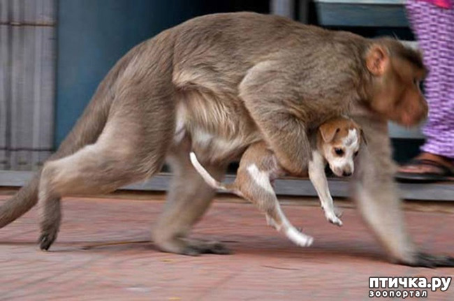 ���� 2: ������������ ����� - ��� ��������� ��������� ��������� �����