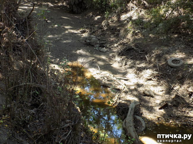 ���� 6: ����������