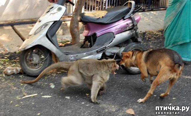 ���� 8: ������������ ����� - ��� ��������� ��������� ��������� �����