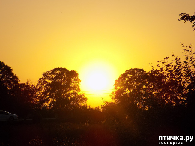 ���� 22: ����������