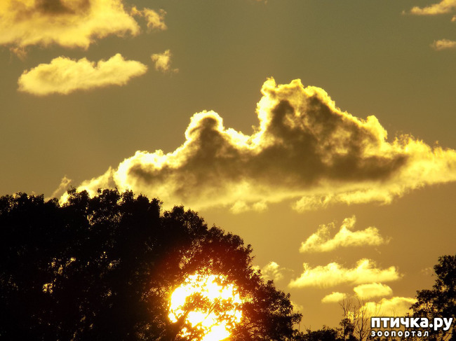 ���� 23: ����������